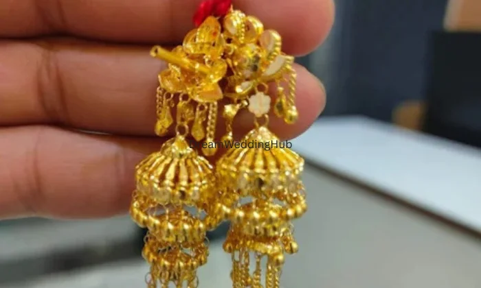 Shubh Nivesh Jewellers Limited